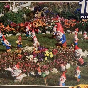 Colorluxe 1000 Piece Puzzle - Garden Gnomes, Falkland Islands, South America